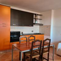 Trilocale arredato in edificio nuova costruzione