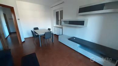 Ampio trilocale a Luisago