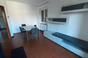 Ampio trilocale a Luisago