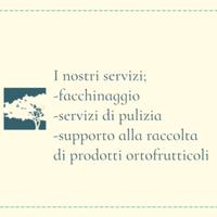 Servizi di manodopera flessibili ad aziende