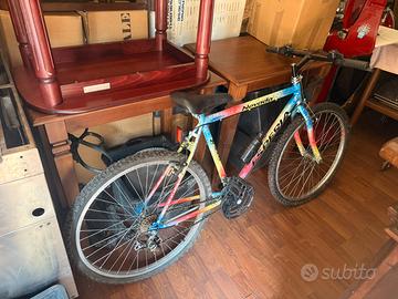 Bicicletta ruote 26