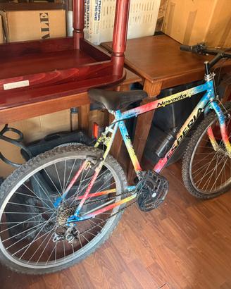 Bicicletta ruote 26