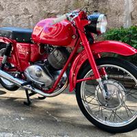Moto Guzzi Lodola 235 gt