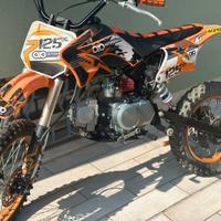 Pit Bike 125 4T - Motore Nuovo - 17/14
