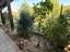 Immagine 14