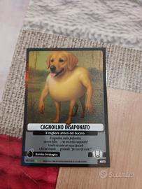 CAGNOLINO INSAPONATO