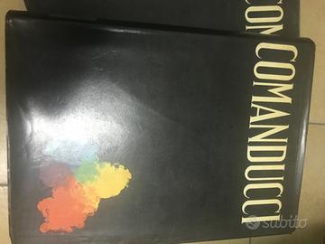 A M COMANDUCCI - DIZIONARIO ILLUSTRATO PITTORI