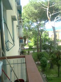 SOLO x STUDENTI singola luminosa vicino Ingegneria