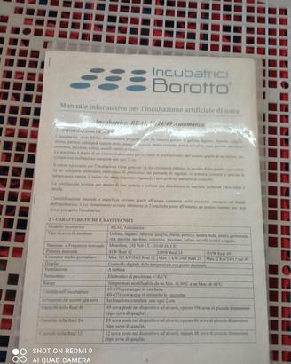 incubatrice borotto  real 49 usata 