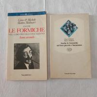 Anche le Formiche nel loro piccolo si incazzano.