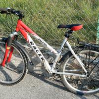 Mountain bike