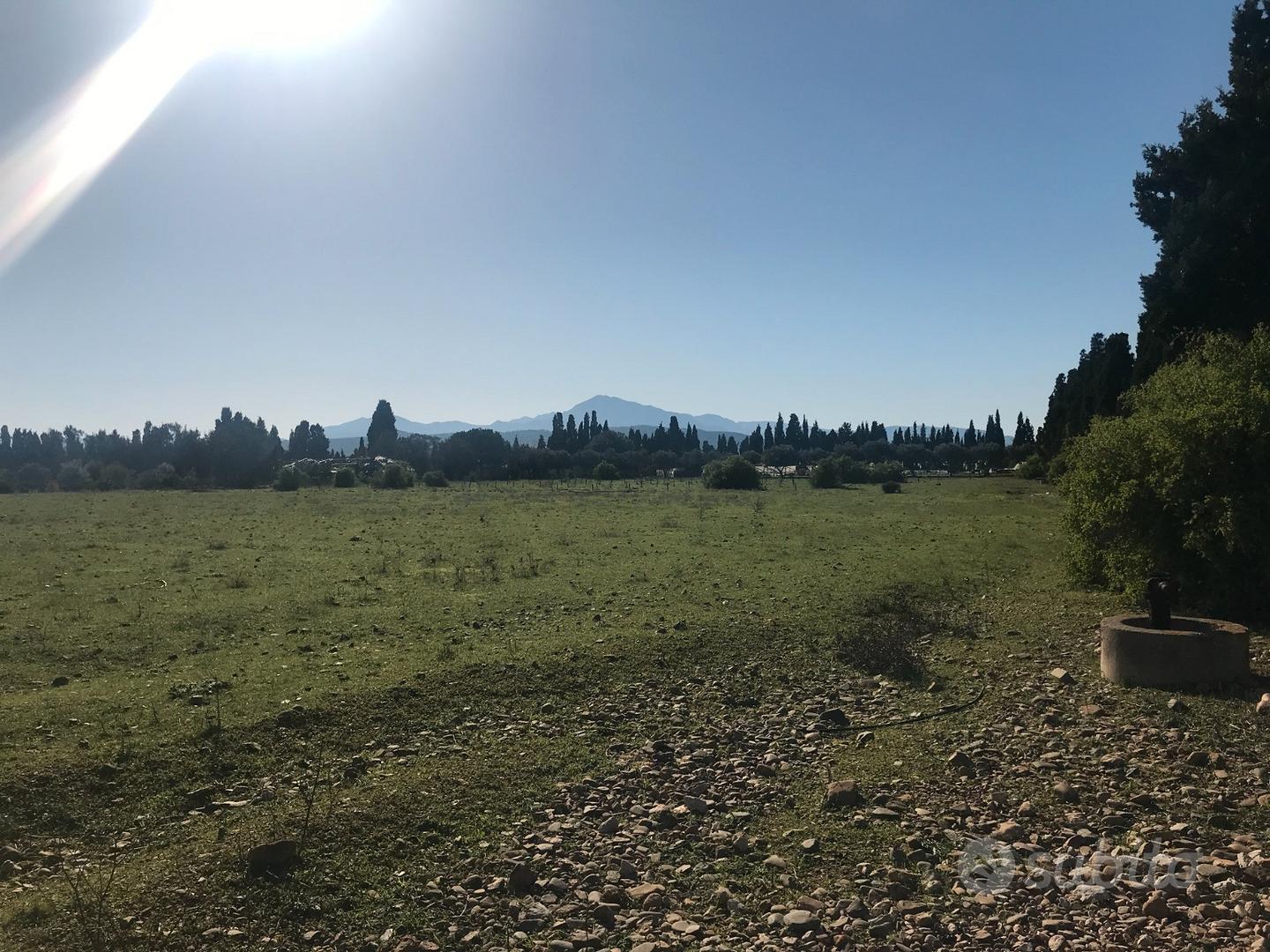 Terreno agricolo di mq 12500 edificabile - Vista 4