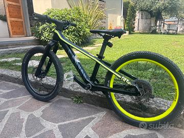 Canyon Offspring 20"