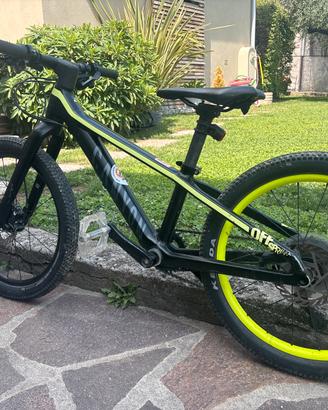 Canyon Offspring 20"