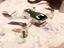 Immagine 1