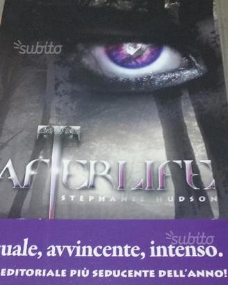 Afterlife