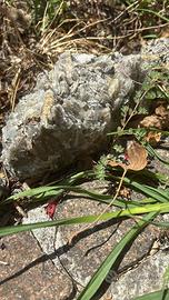 Pietre mica per giardino