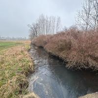 TERRENO AGRICOLO 18.000mq