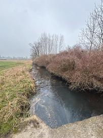 TERRENO AGRICOLO 18.000mq