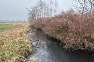 TERRENO AGRICOLO 18.000mq