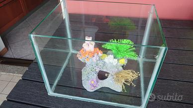 acquario per pesci rossi 