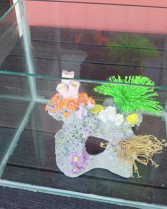 acquario per pesci rossi 