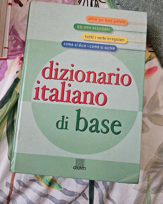 dizionario 