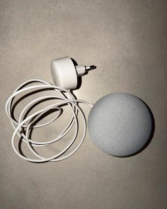 Google nest mini