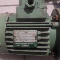 Motore e riduttore continuo e altro riduttore a vi