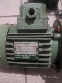 Motore e riduttore continuo e altro riduttore a vi