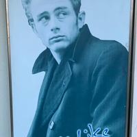 Stampa gigante James Dean