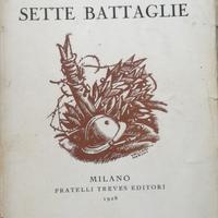Sette battaglie di Paolo Monelli