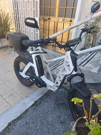 bici elettrica 