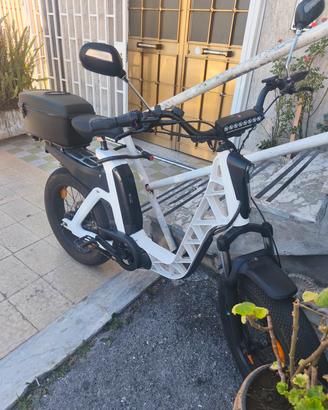 bici elettrica 