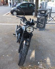 Moto Guzzi V7 Stone 2019 