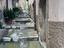 Immagine 11
