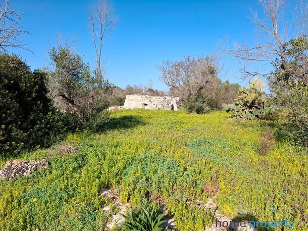 Terreno agricolo vista panoramica sul mare Ugento