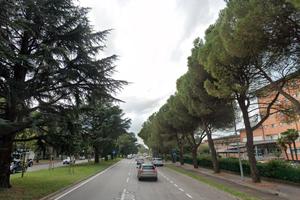 Stanza singola - udine