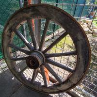 Ruota di veccho carro antico