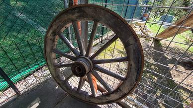 Ruota di veccho carro antico