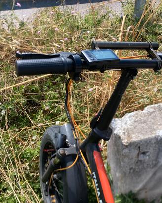 Bicicletta fat gomme buone (senza batteria)