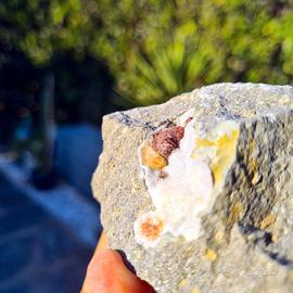 Epistilbite Osilo Sassari Minerali