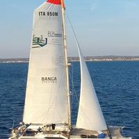 Barca a vela Catamarano Custom Race