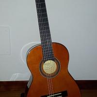 Chitarra Valencia con custodia, tuner, plettro
