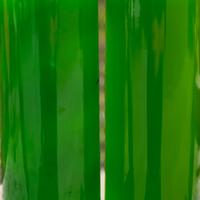 Fitoplancton Nannochloropsis