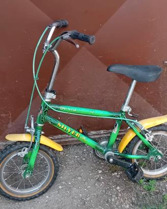 Bici MTB Silver