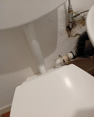 sanitrit