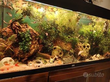acquario Juwel 180