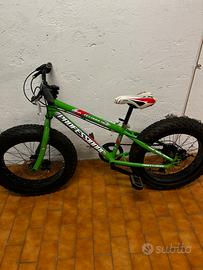 Bicicletta