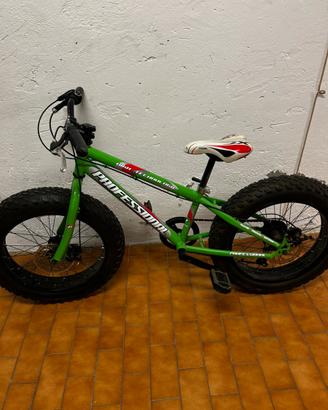 Bicicletta